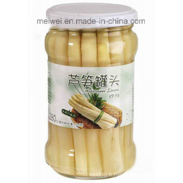 Asperges blanches en conserve pour la santé avec 314 ml